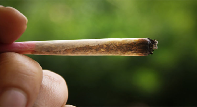 Légalisation du cannabis et consommation des jeunes