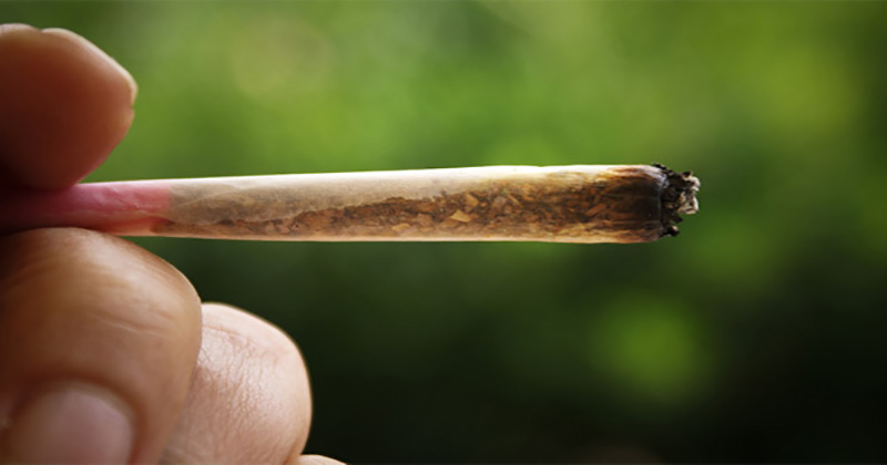 Légalisation du cannabis et consommation des jeunes
