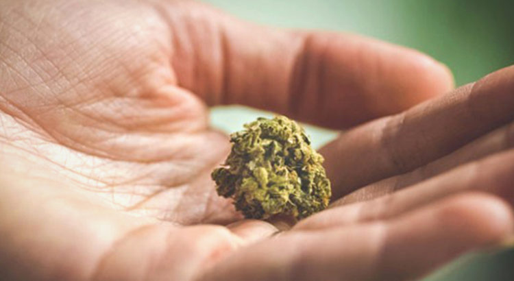 microdosage du cannabis