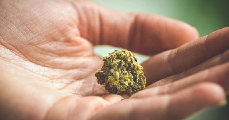 La micro-consommation de cannabis : le meilleur moyen d'en consommer ? -  Newsweed