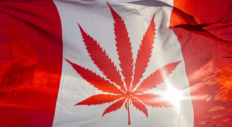 quebec-refractaire-legalisation