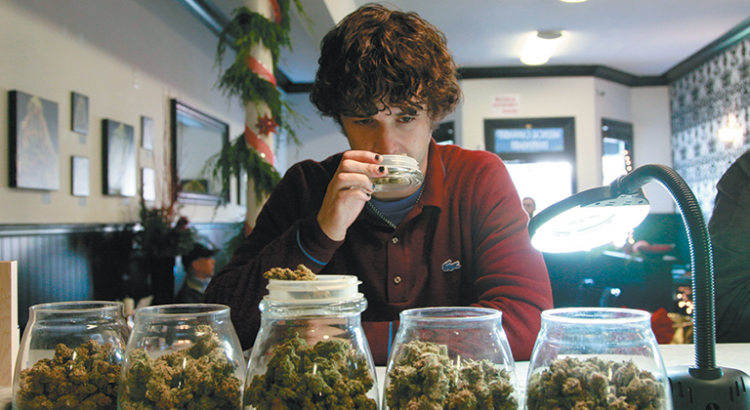 Risques de la consommation de cannabis