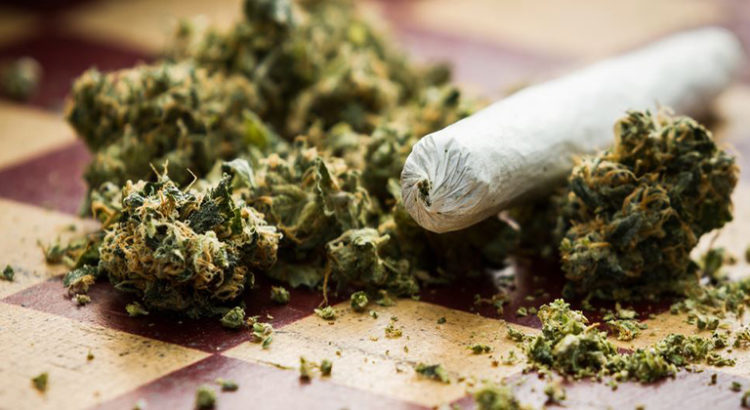 Casier criminel et cannabis au Canada et en Californie