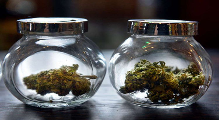 Ethylotest pour cannabis fiable