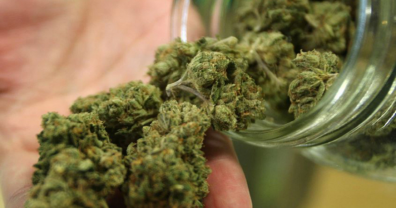 Californie L'Assemblée adopte un projet de loi visant à interdire les lois fédérales anti cannabis