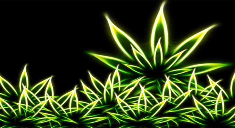 Cannabis et technologie