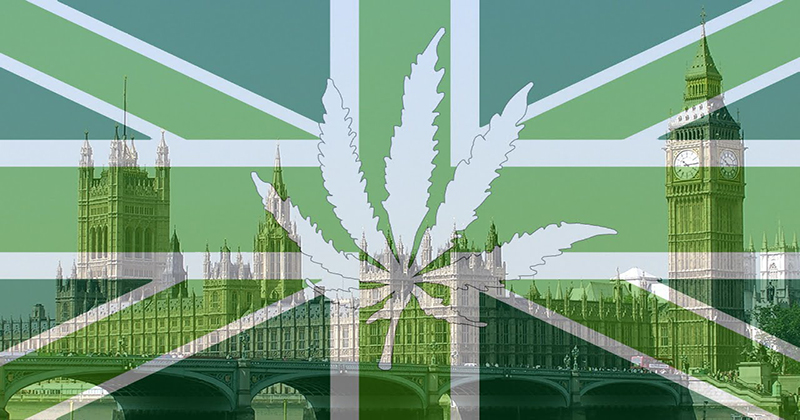 Comment marcherait l'industrie si le Royaume-Uni légalisait le cannabis?