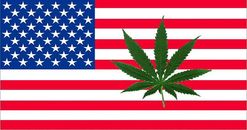 Etats Unis Top 10 des choses qui ont changées (ou non) sur le cannabis en 5 ans