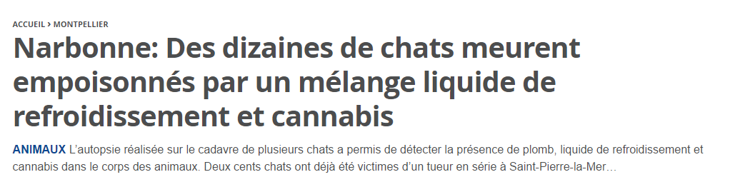 Chats empoisonnés au cannabis