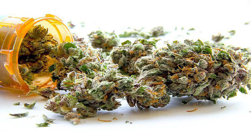 Une nouvelle étude vient confirmer les bienfaits du cannabis thérapeutique