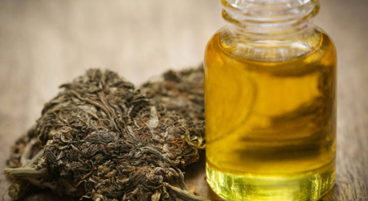 Légalisation du cannabis médical en Pologne