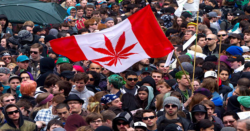 Canada : La légalisation du cannabis respectera-elle les conventions internationales?