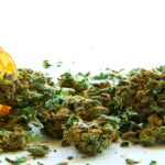 Qu'est vraiment le cannabis médical
