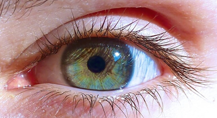 Cannabis et yeux