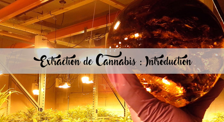 Extraction de cannabis