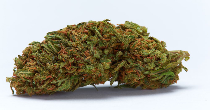 Oregon : ces noms de variétés de cannabis interdits
