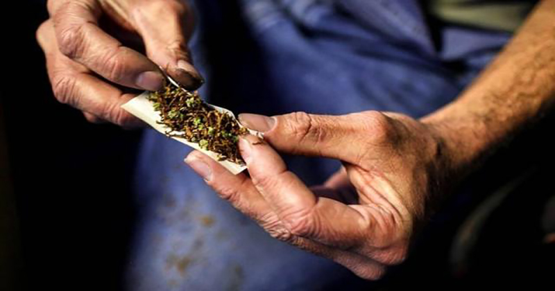 Suisse : 2/3 de la population est favorable à la légalisation du cannabis