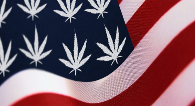 Ventes de cannabis aux Etats-Unis - Le bilan mi-annuel