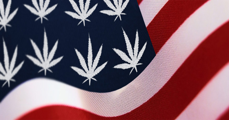 Ventes de cannabis aux Etats-Unis - Le bilan mi-annuel