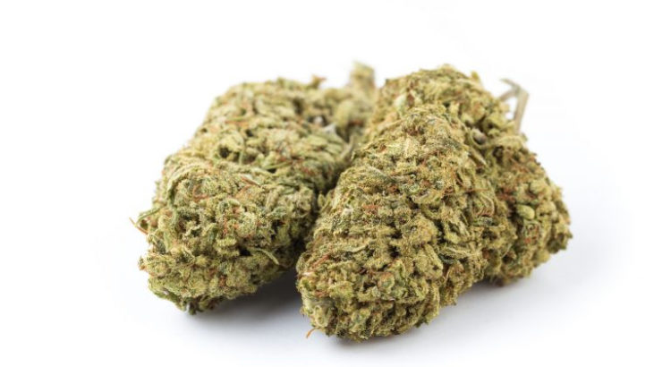 Cannabis light légal en France