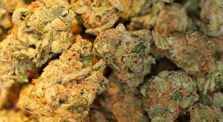 Cannabis en Suisse