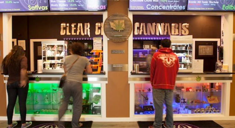 Trouver un métier dans le cannabis