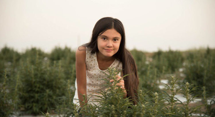 Alexis Bortell