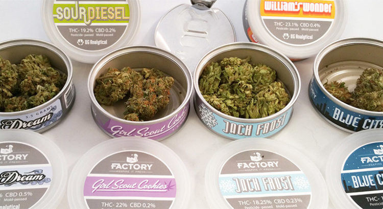 Cannabis en conserve