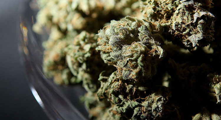 Cannabis récréatif en Grèce