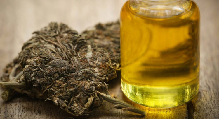 Huile de cannabis en Uruguay