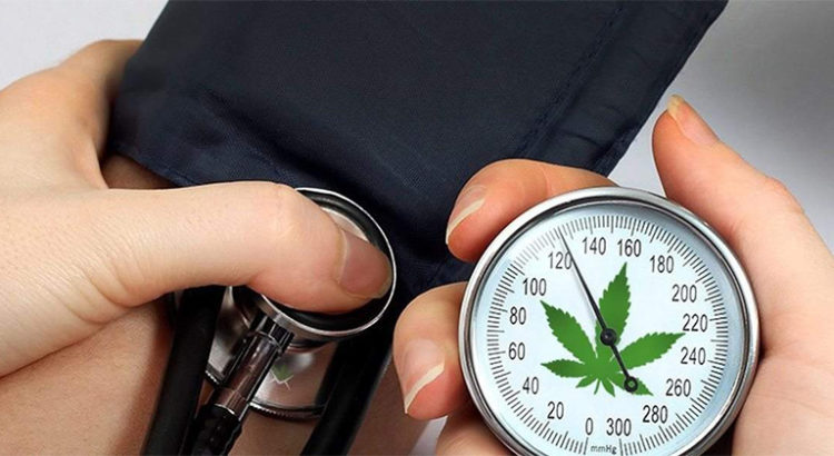 Hypertension et cannabis