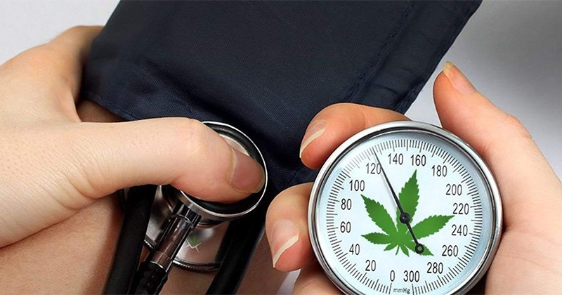 Hypertension et cannabis