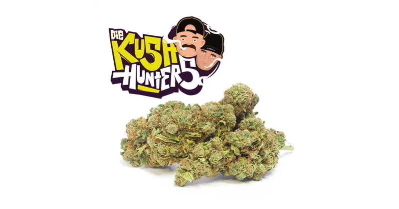 Kushhunter