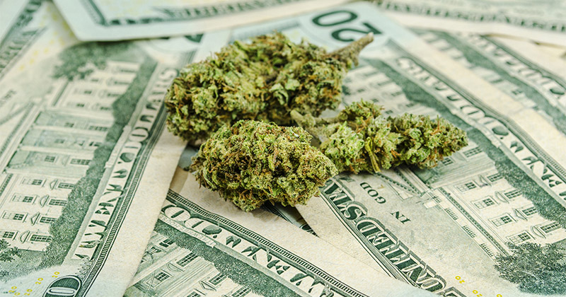 Taxes sur le cannabis en Oregon
