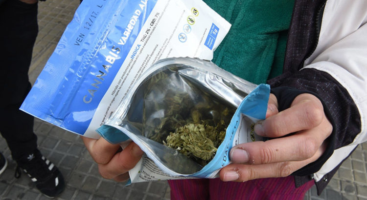Pénurie de cannabis en Uruguay