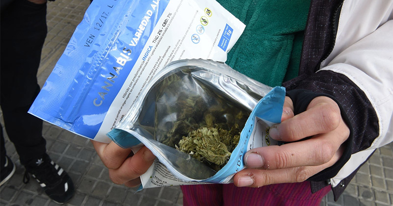 Pénurie de cannabis en Uruguay