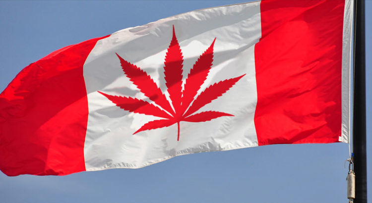 Cannabis au Canada