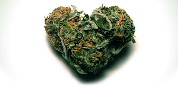 Insuffisance cardiaque et cannabis