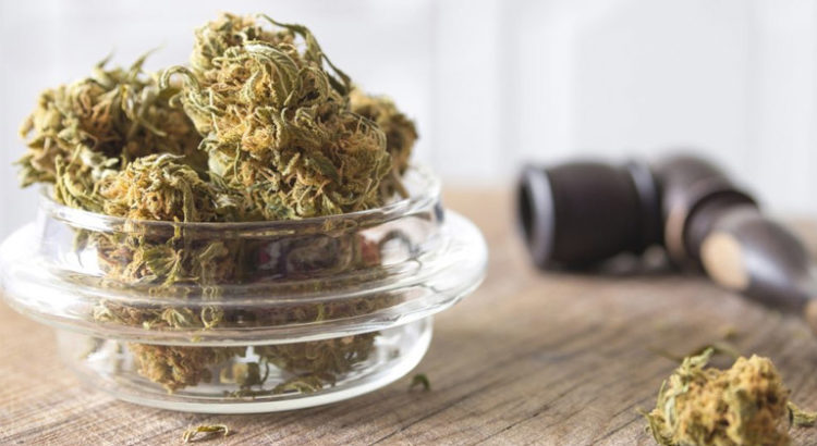 Cannabis et migraine