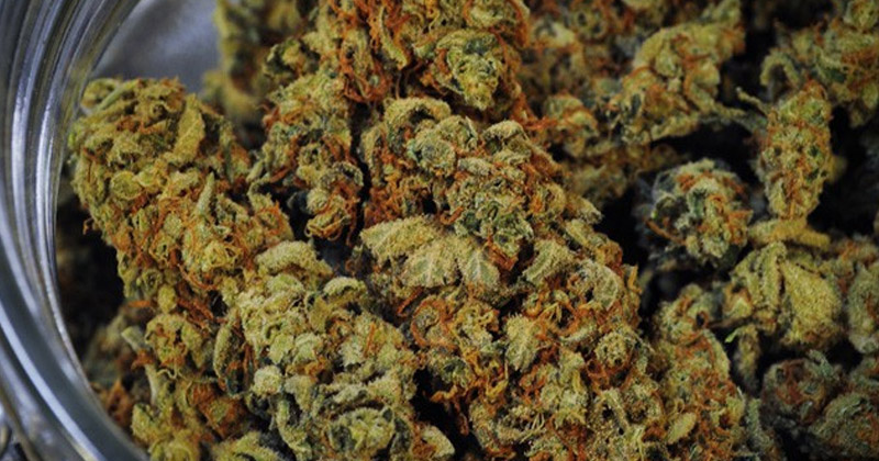 Cannabis médical en Lituanie