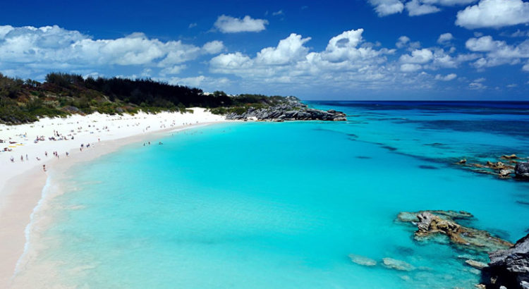 Cannabis aux Bermudes