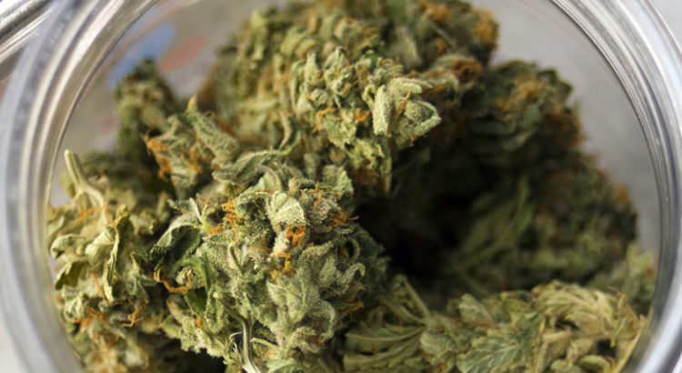 Cannabis et SIDA