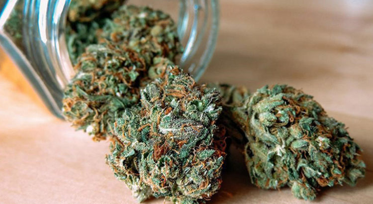 Cannabis médical en Islande