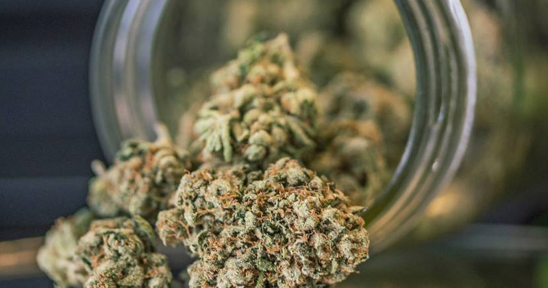 Légalisation du cannabis médical en Nouvelle-Zélande