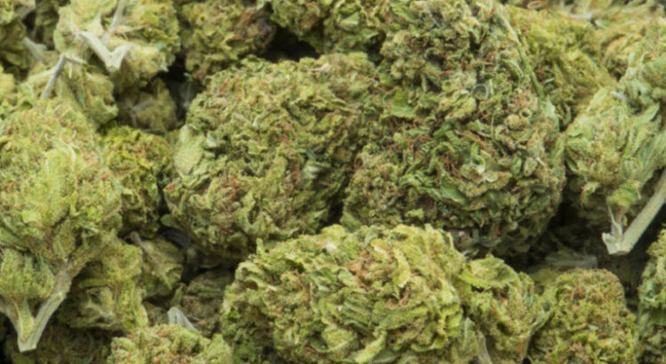 Cannabis au Québec