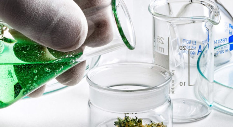 THC-O-acetate
