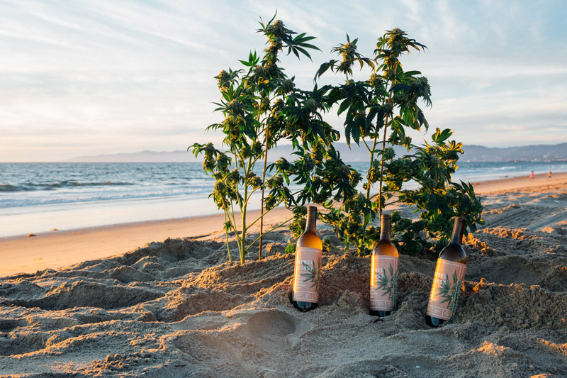 Vin au cannabis