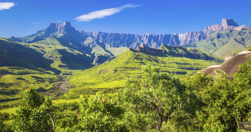 Légalisation du cannabis en Afrique