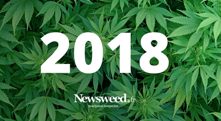 Année 2018 Newsweed