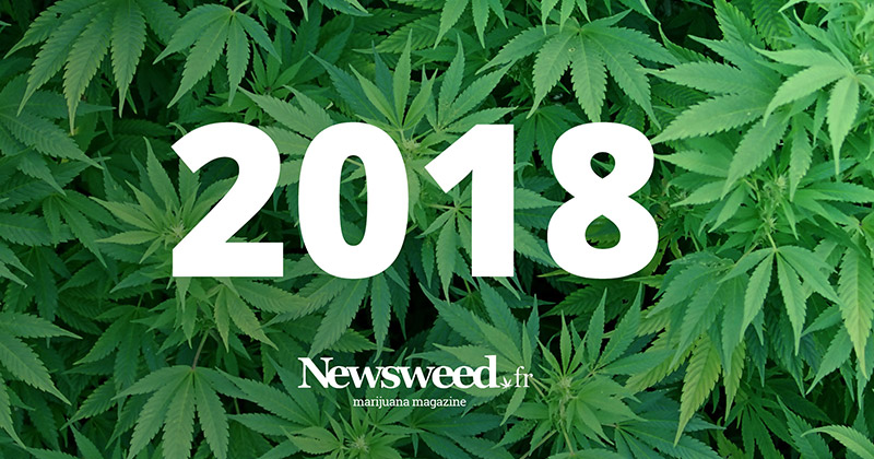 Année 2018 Newsweed